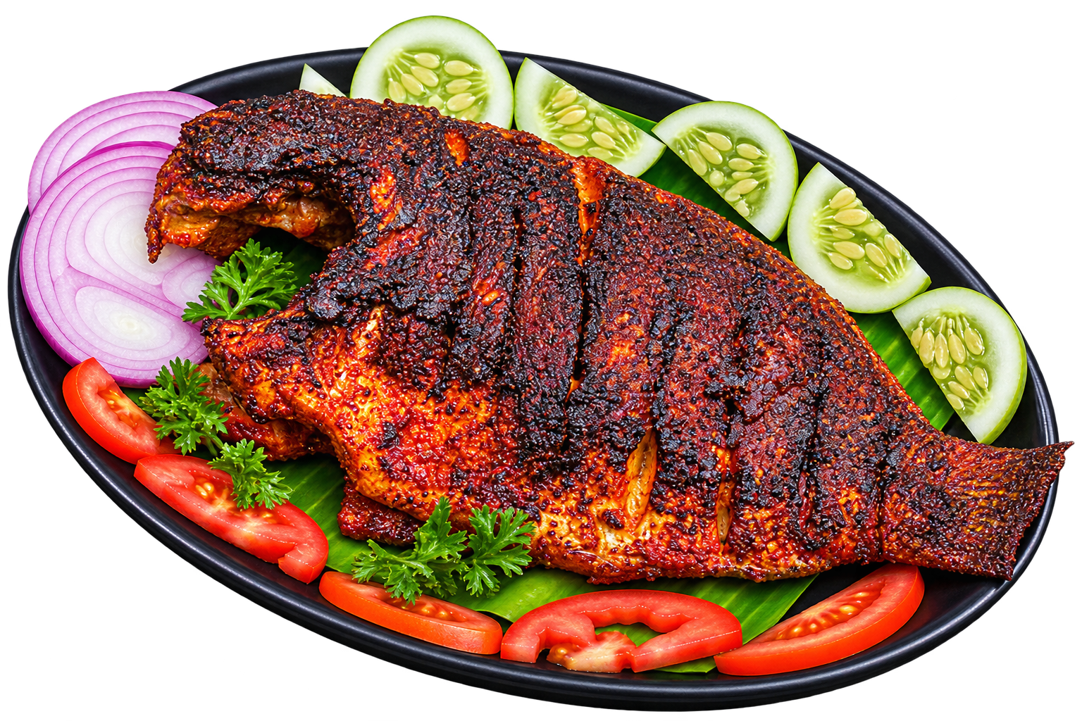Tilapia