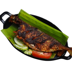 Mackerel- Aiyla Tawa